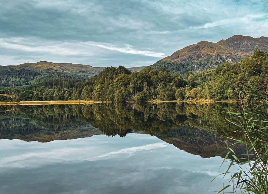 Reflections 
