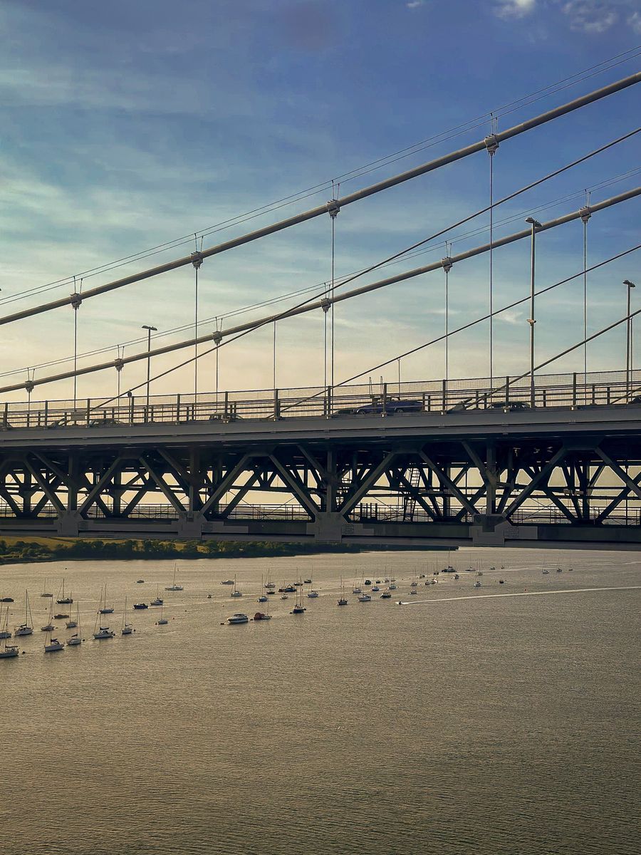 The bridge