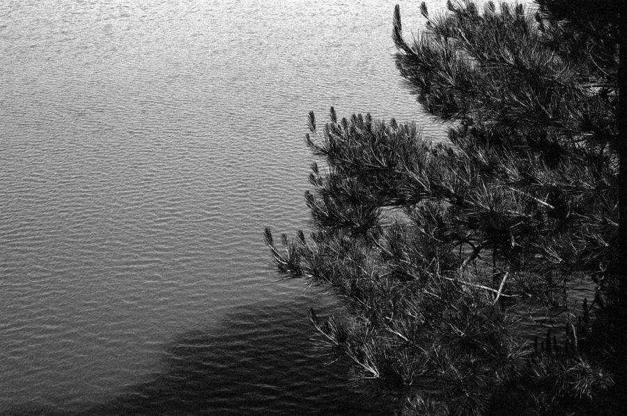 Ripples