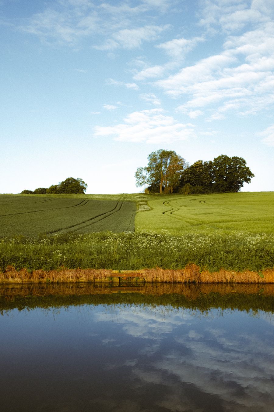 The dividing line