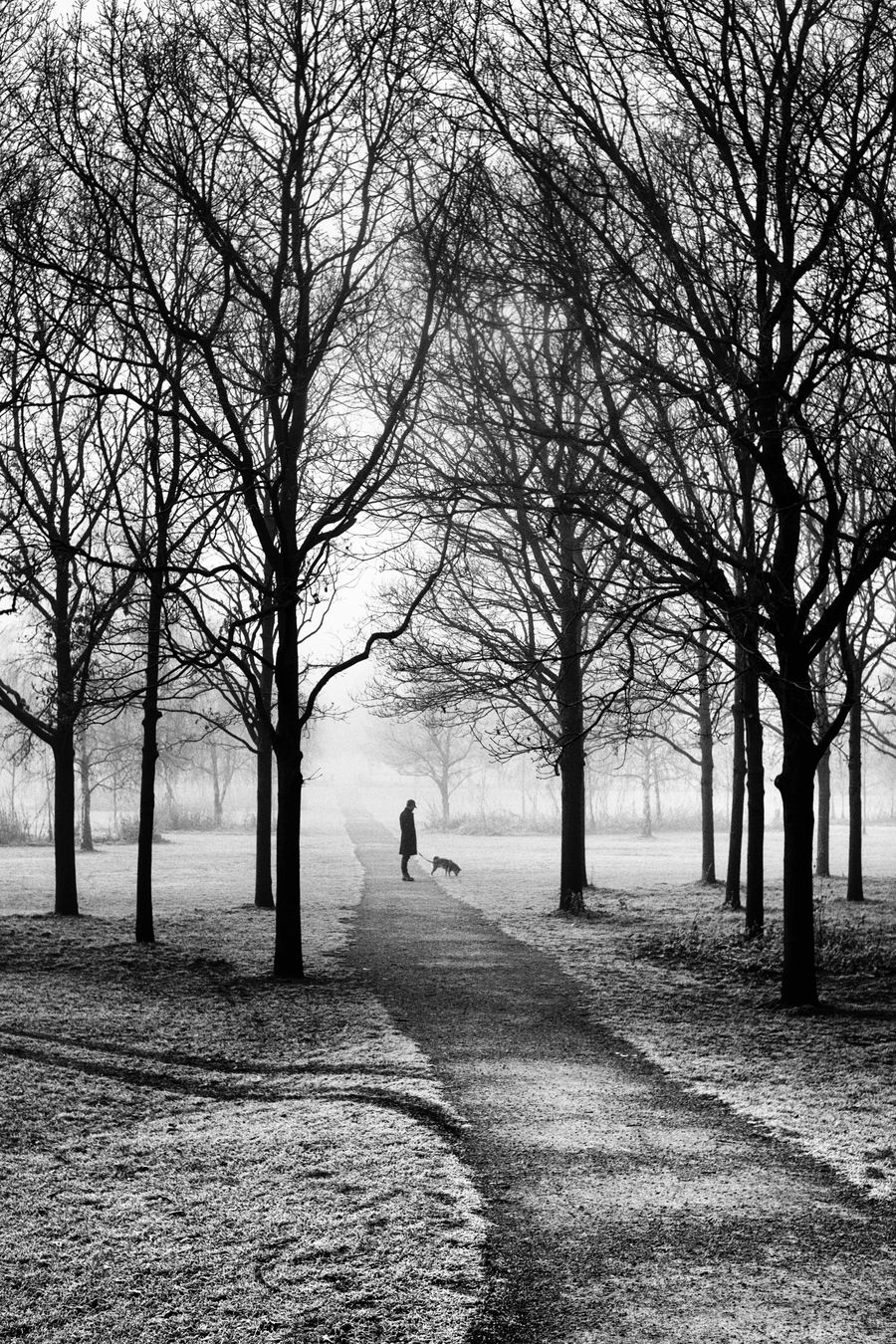 Thames Barrier Park, London.