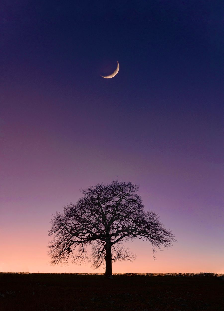 twilight alone