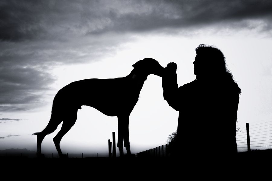 Dog and Mum Silhouette