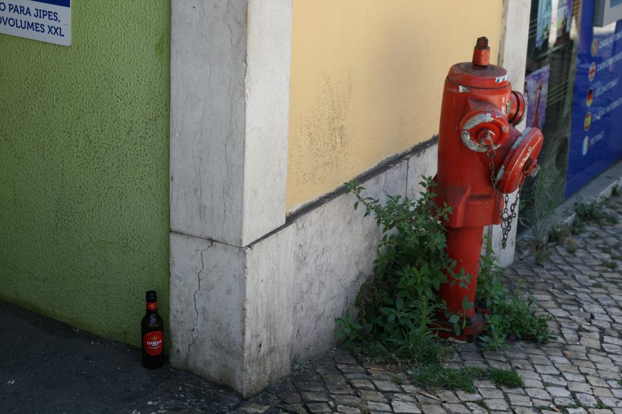 Beer Bottle