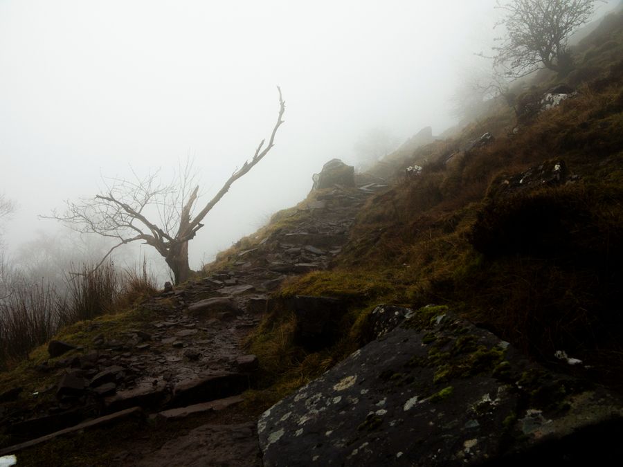 Foggy Black mountains