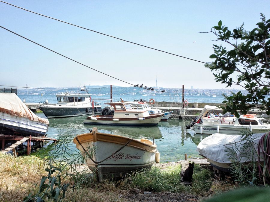 My Istanbul