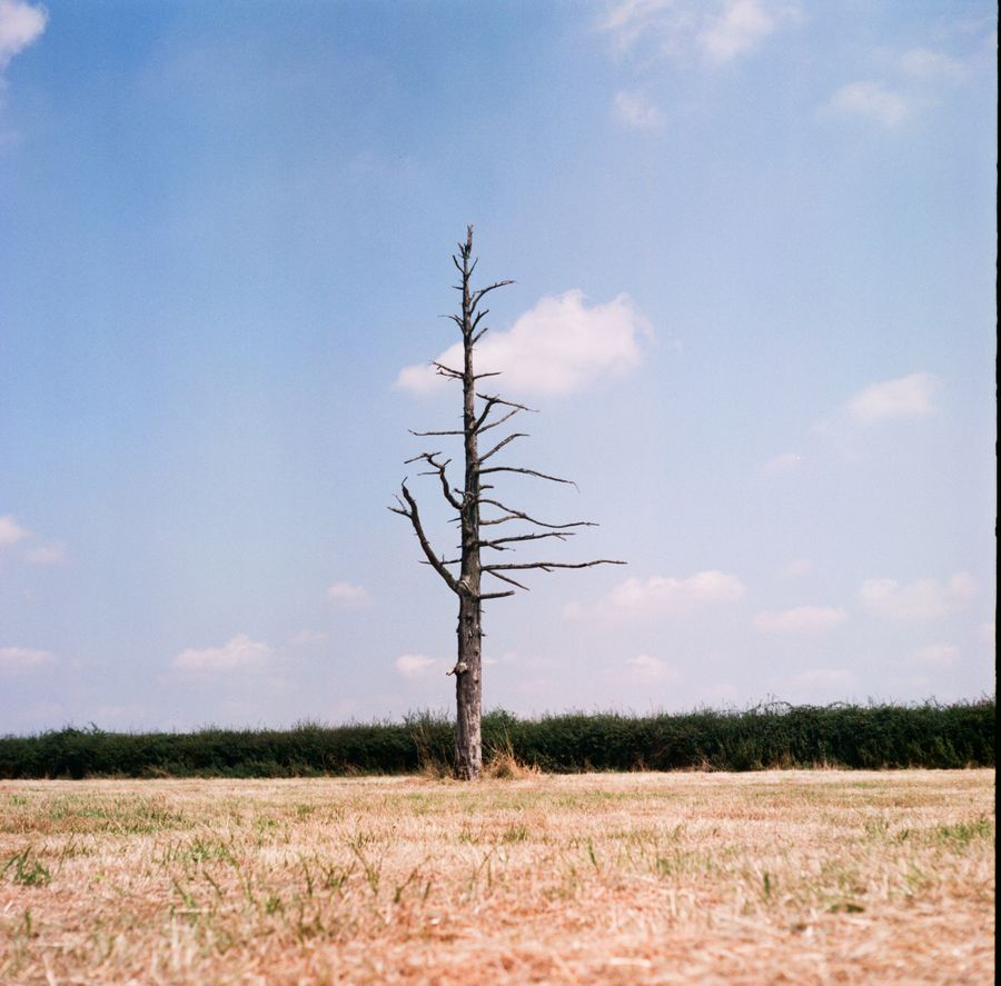 Stand Tall