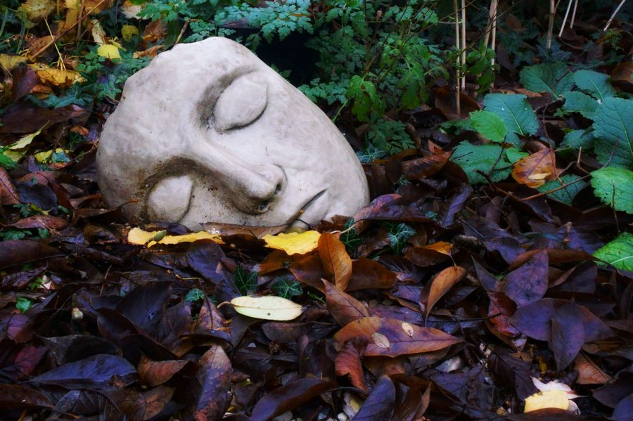 Stone Face lies in Autumn Leaves
