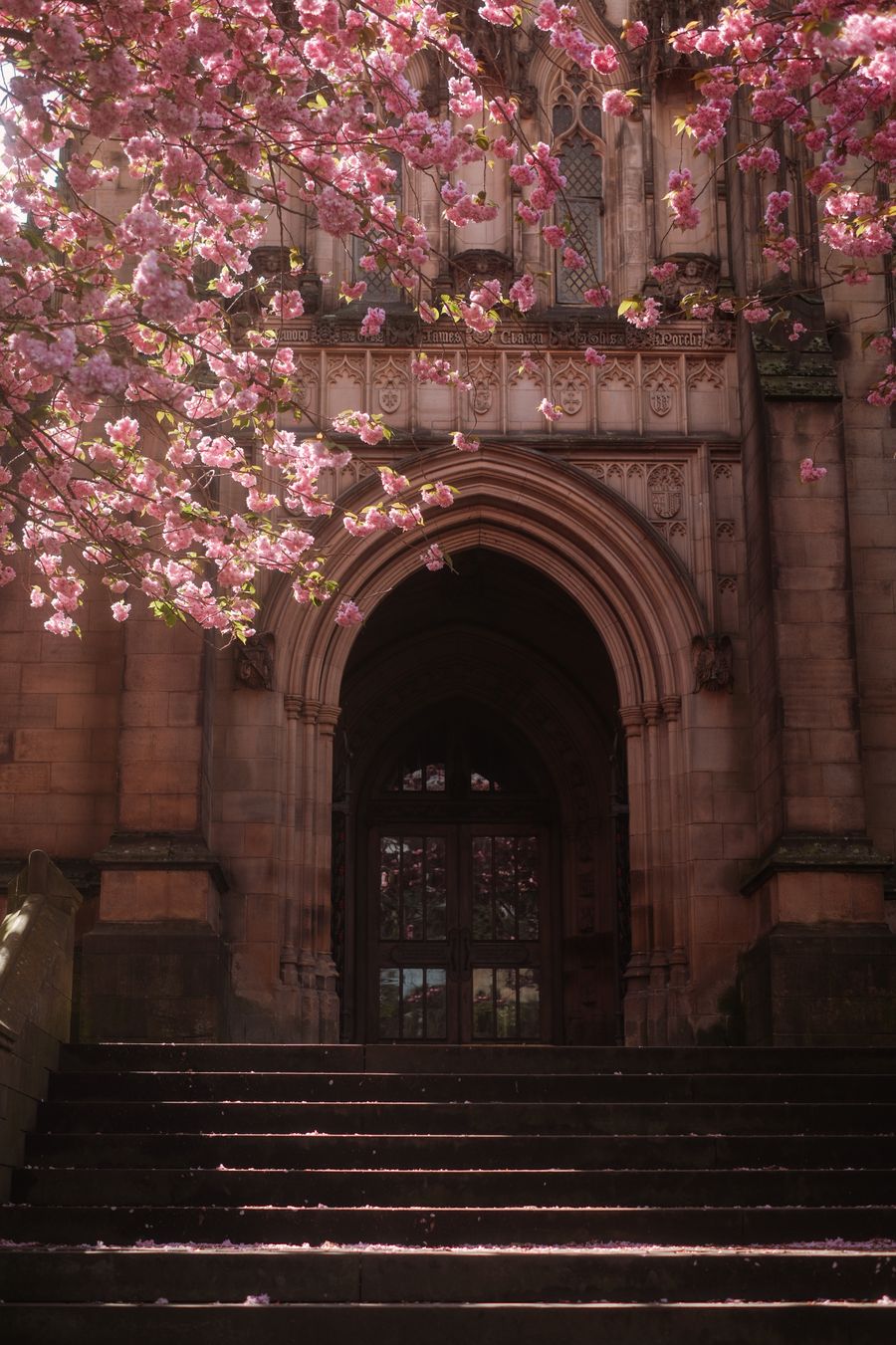 Manchester in bloom