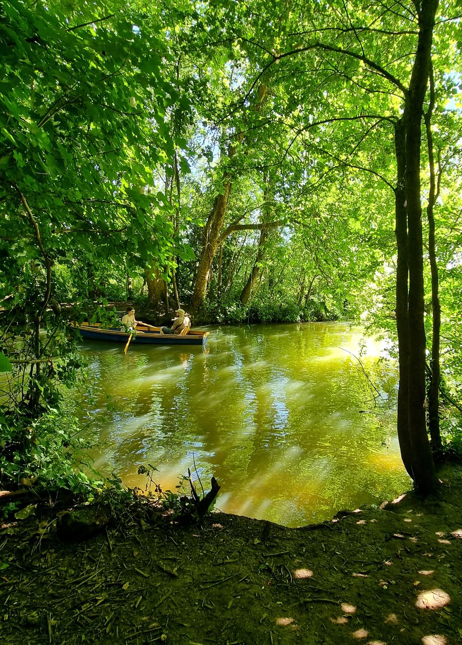 Gently down the stream