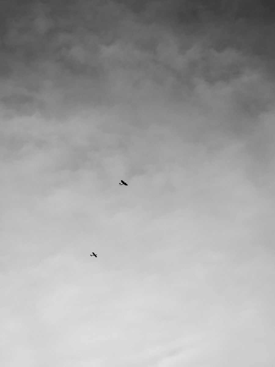 "Boundless Sky"
