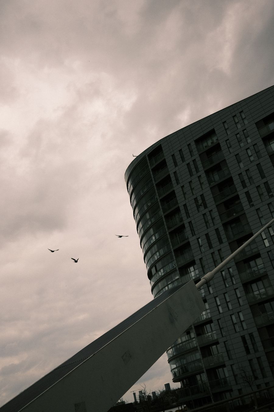 encroaching upon the territory of the birds