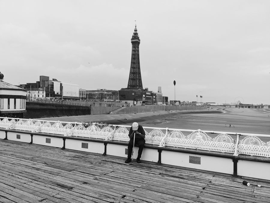 Coastal Contemplation