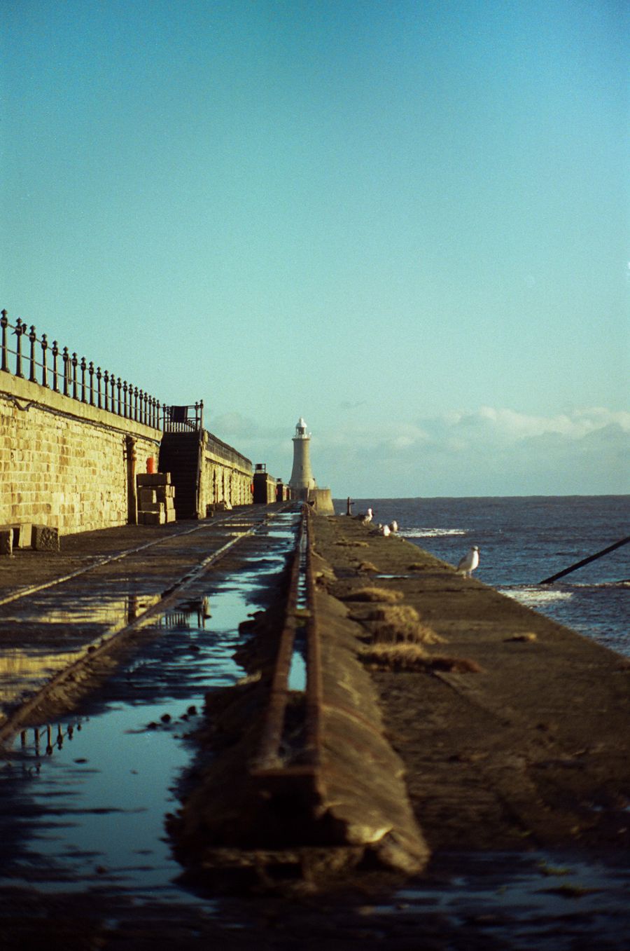 The Lighthouse
