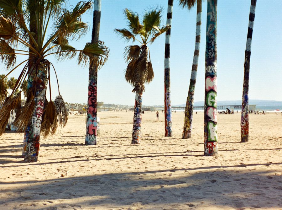 Paradise City