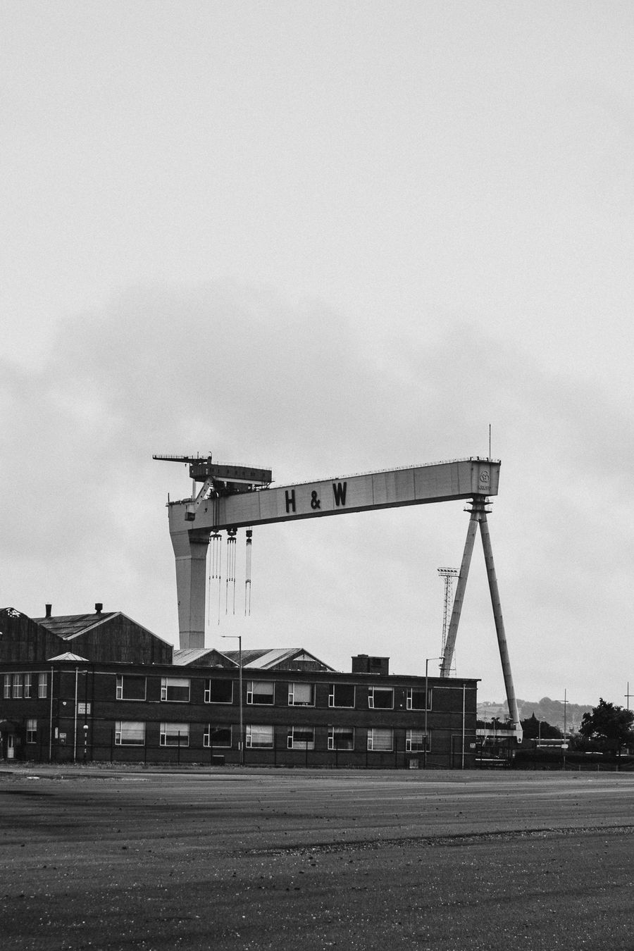 Samson & Goliath