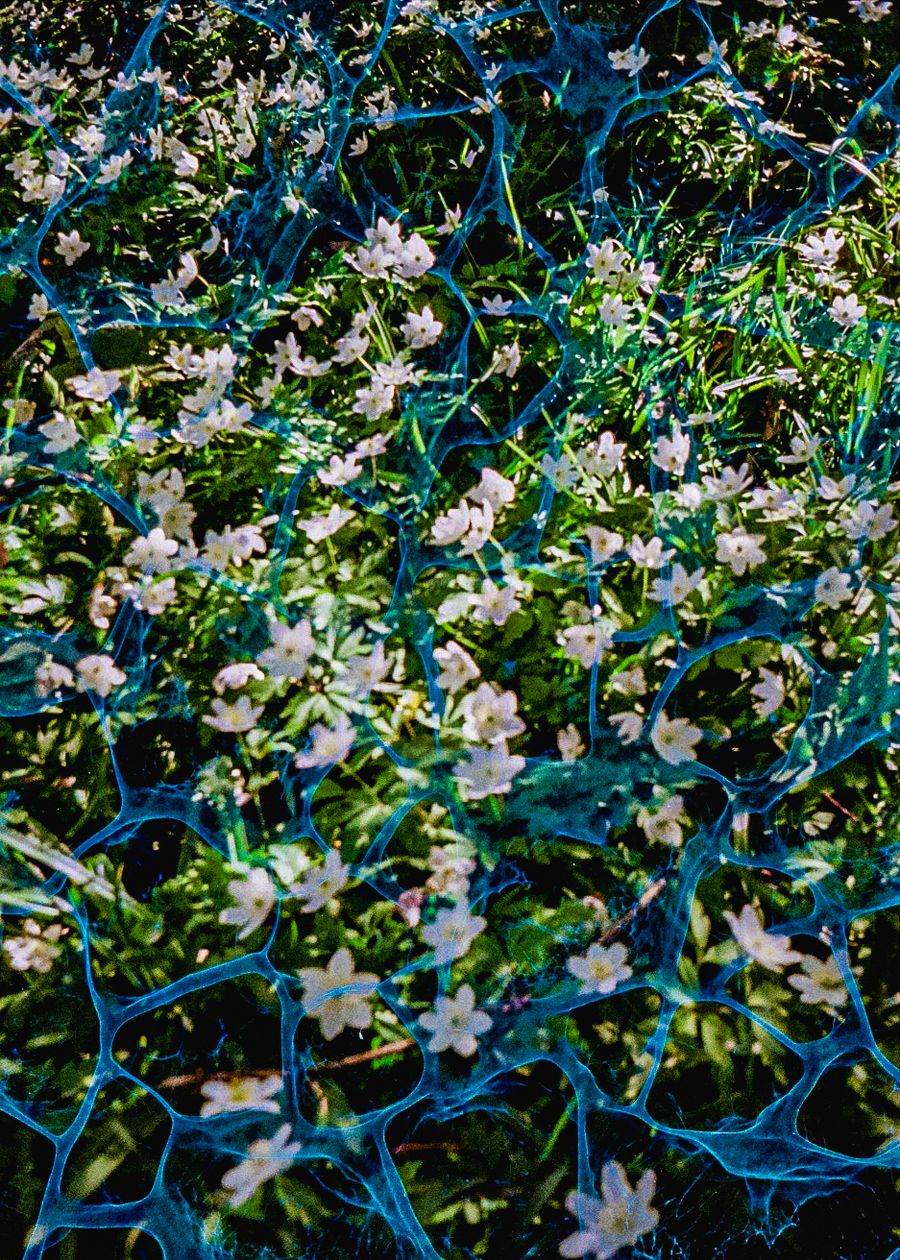 Untitled 2