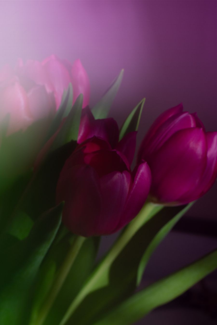 Freelensing Flowers