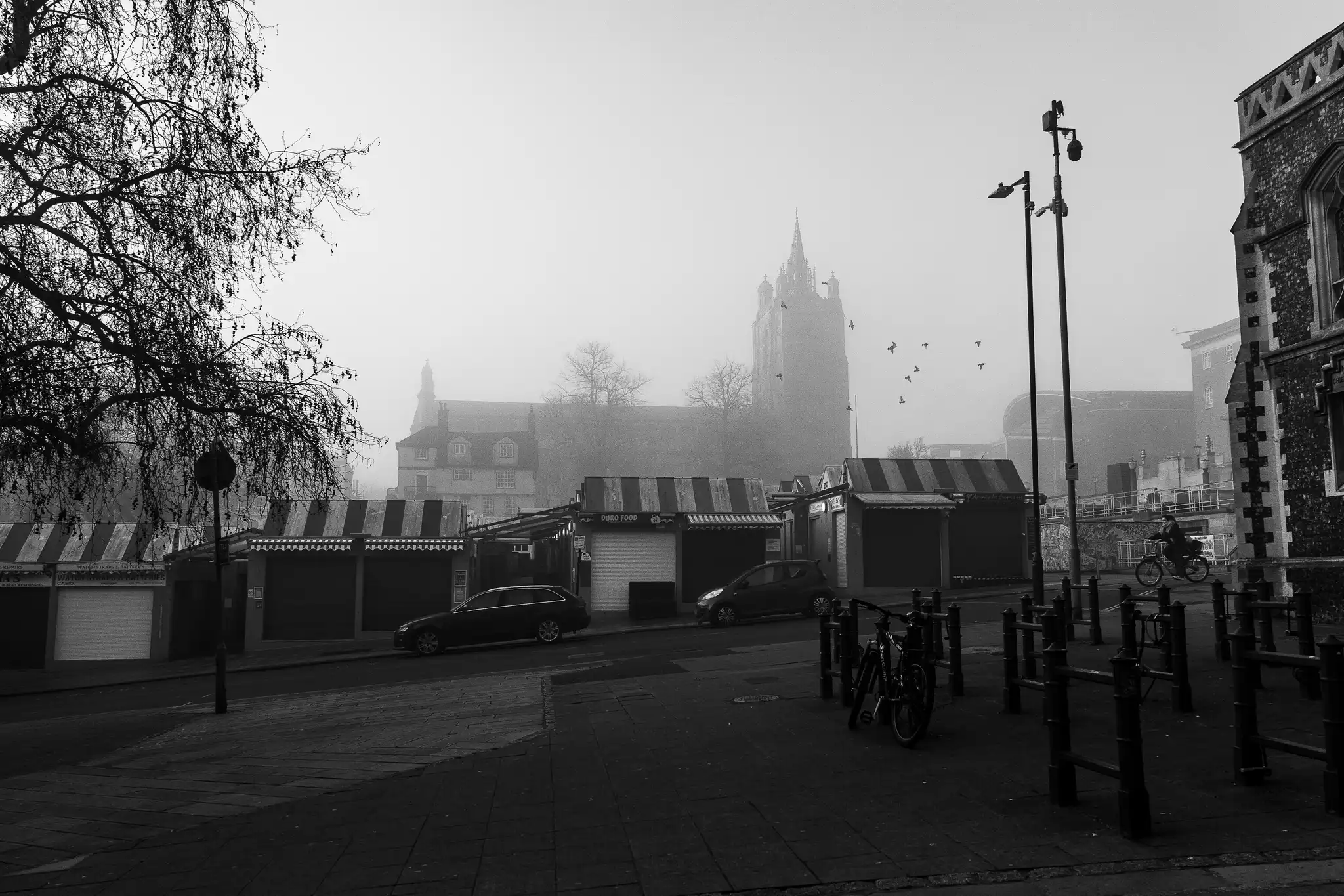 Cathdral Fog