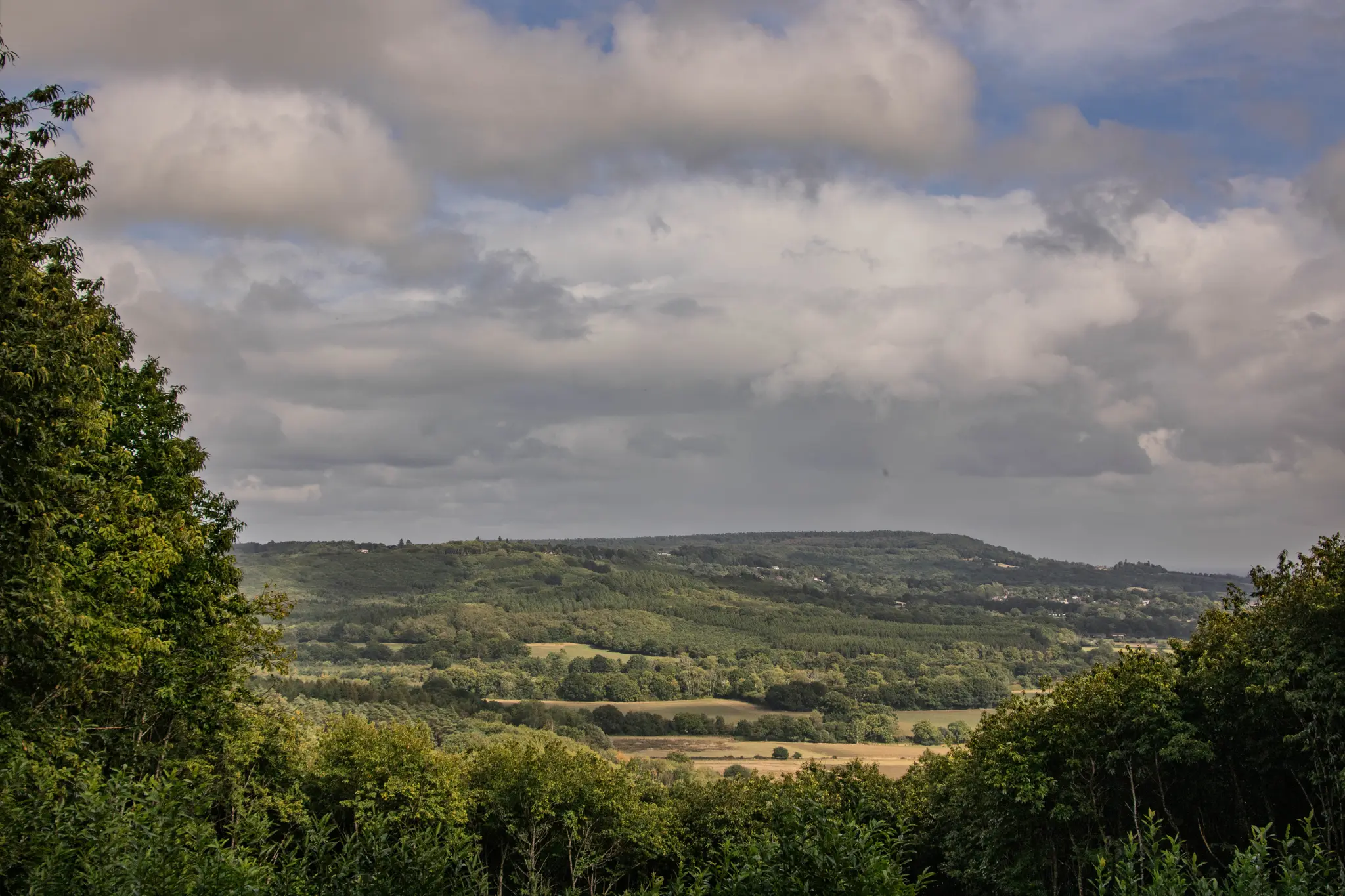 Hollycombe Steam in the Country