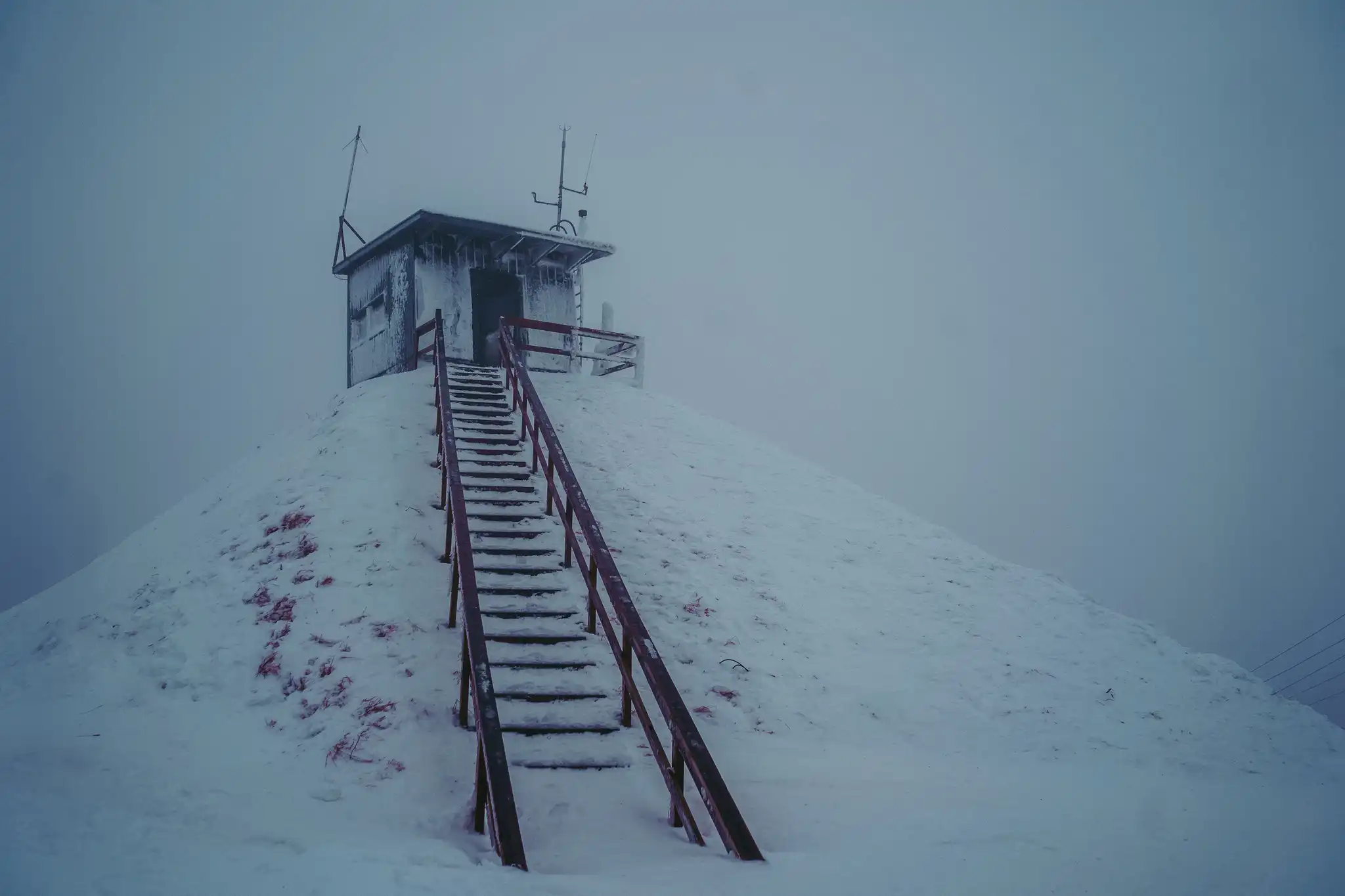 Shelter