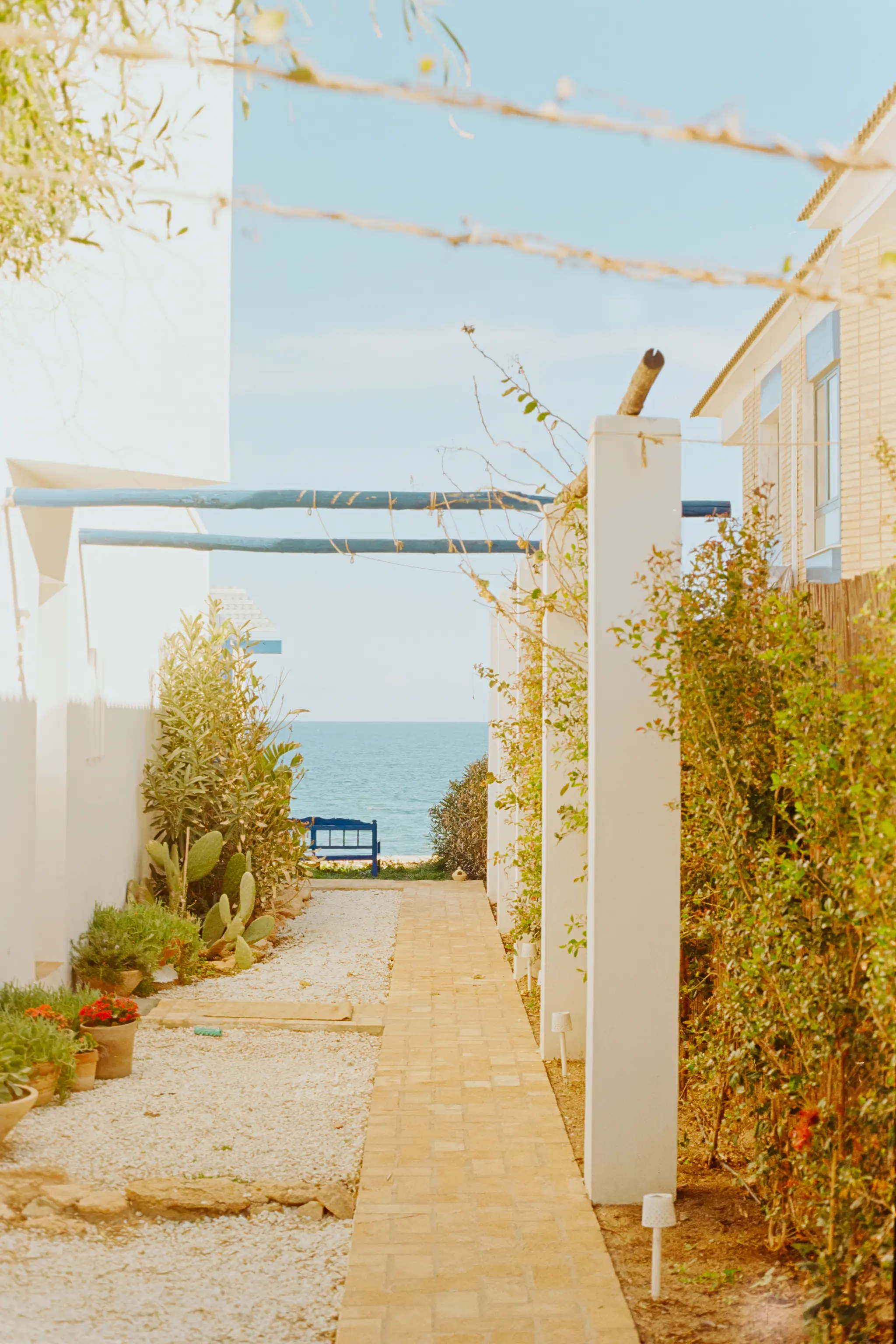 Pathway to the Sea
