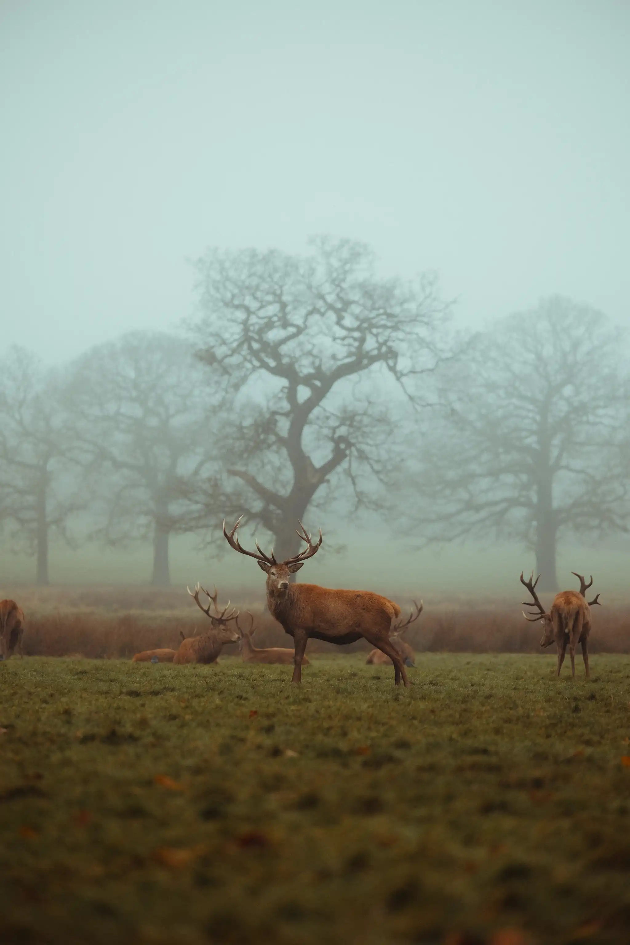Wollaton Hall
