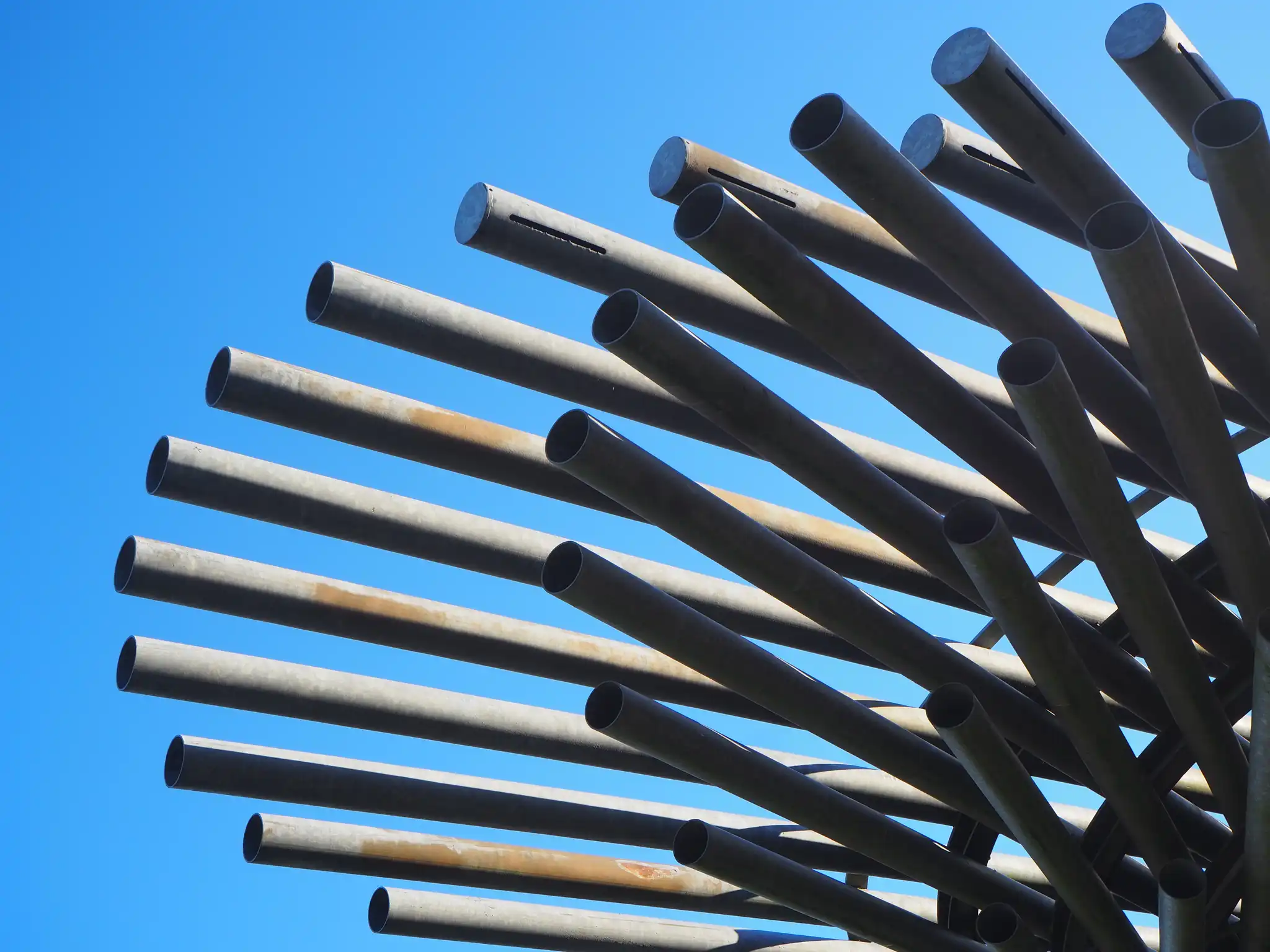 The Singing Ringing Tree