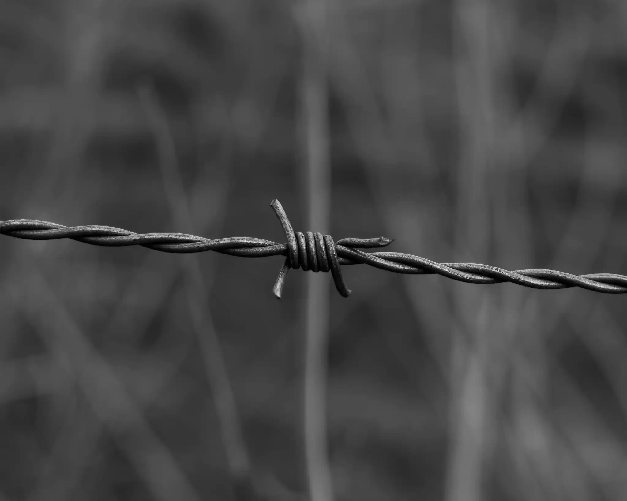 barbed wire
