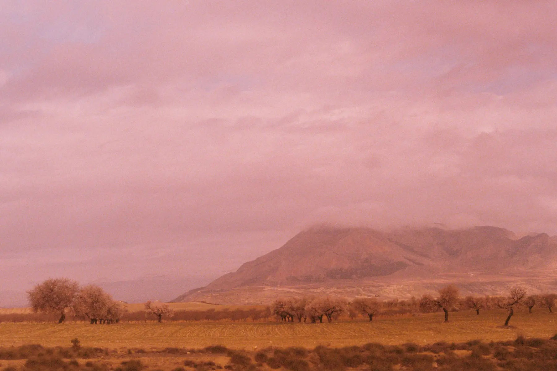 Everything's pink