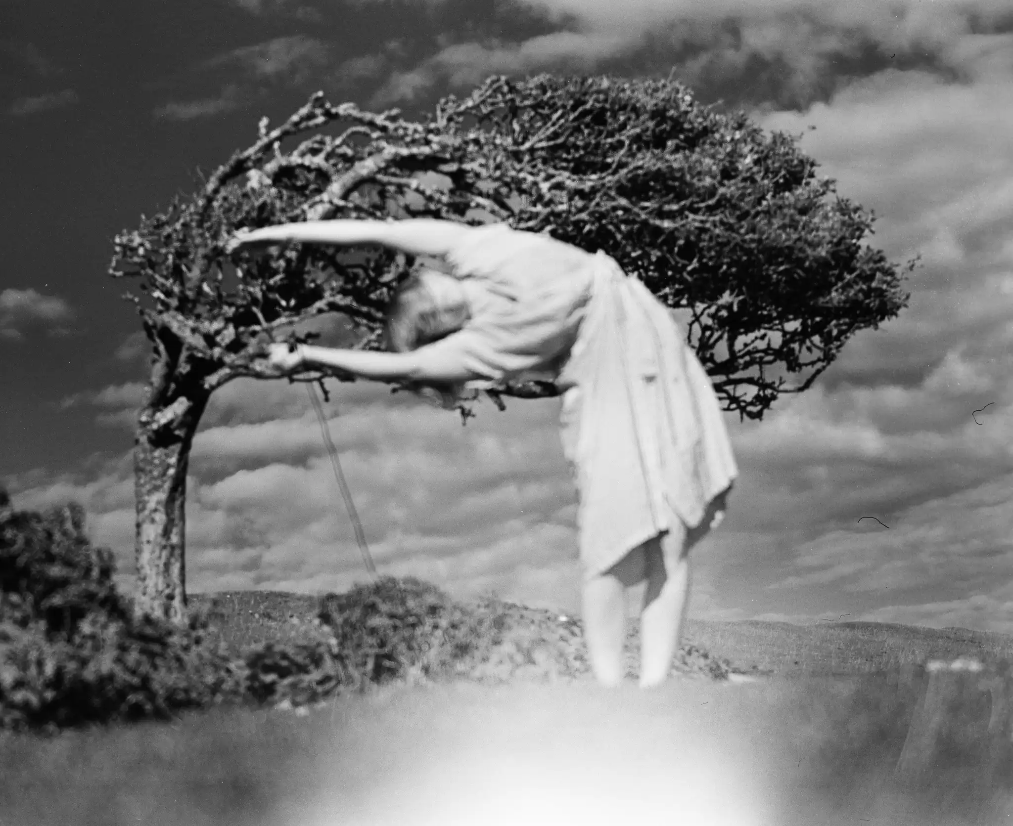 Tree / me