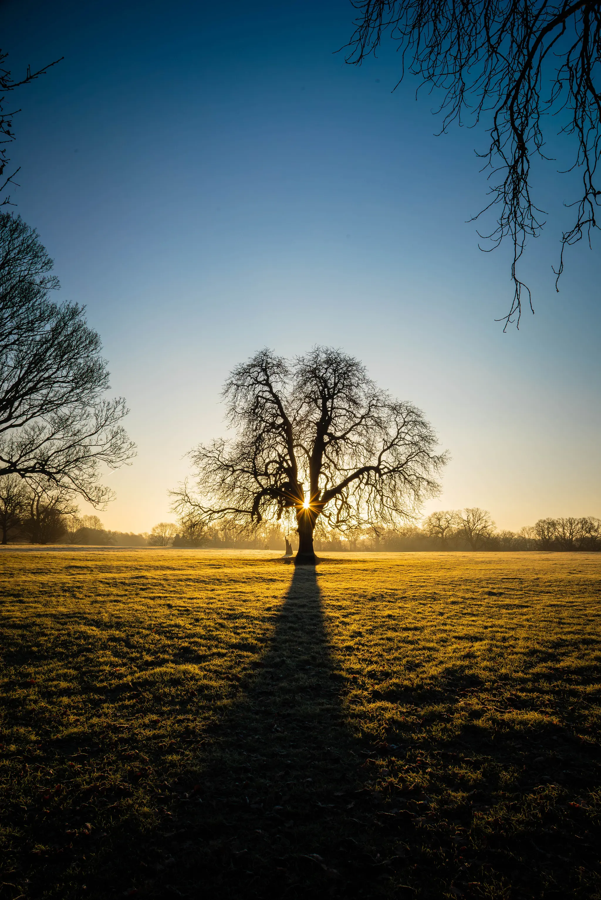 Delapre Abbey Sunrise 