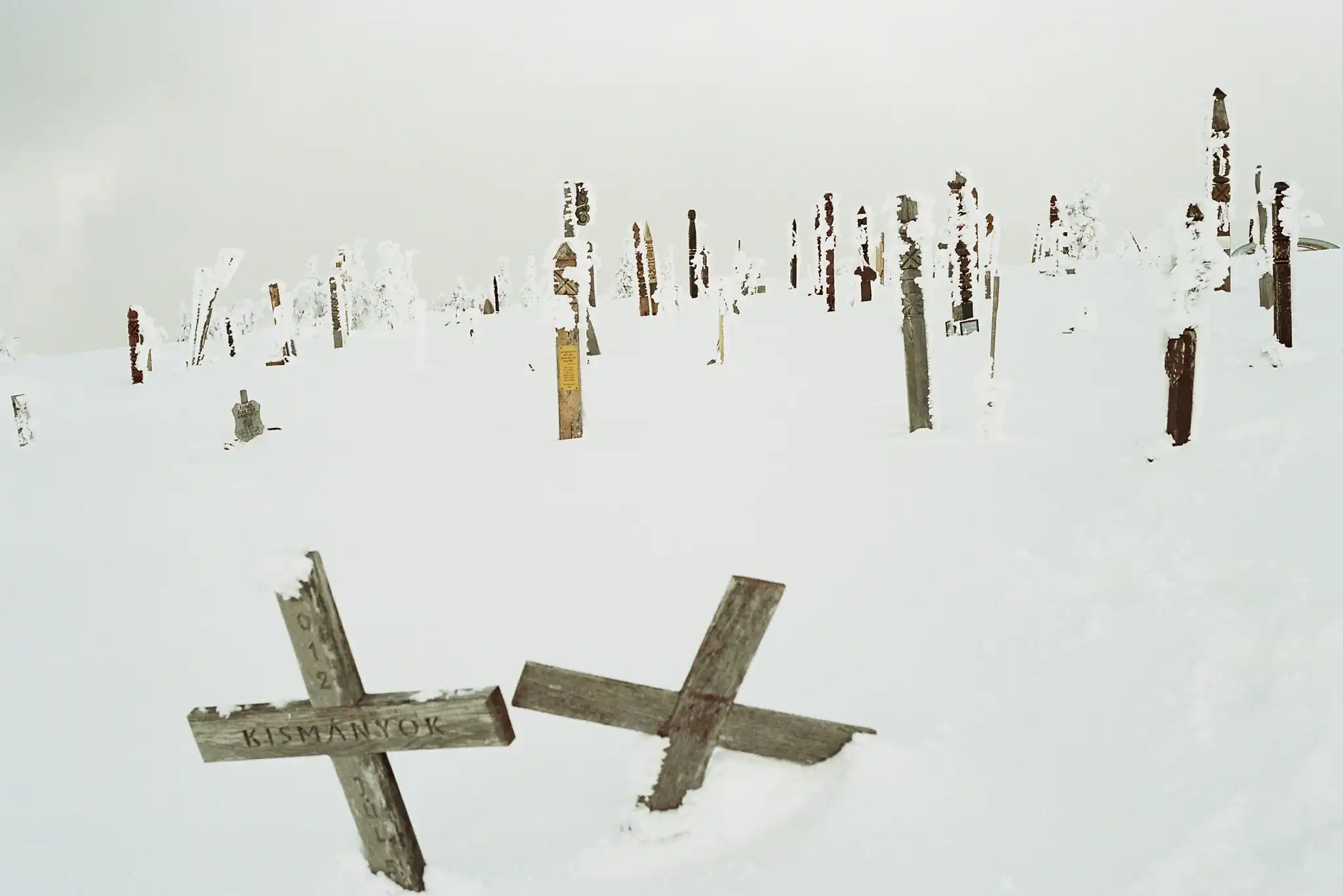 Zombie Cemetery