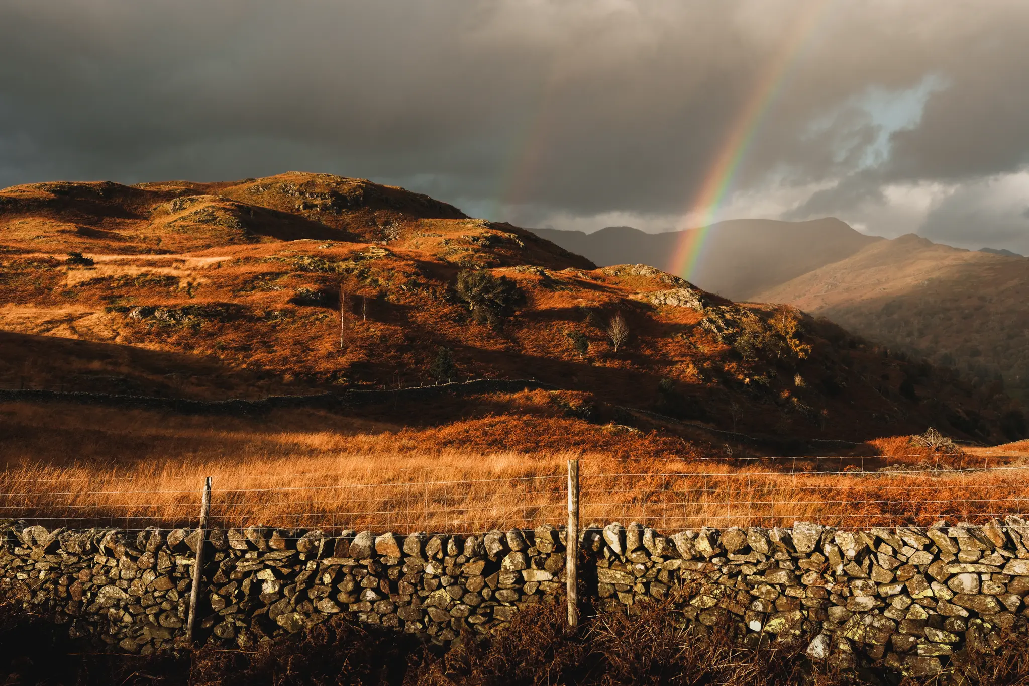 In the Lakes 
