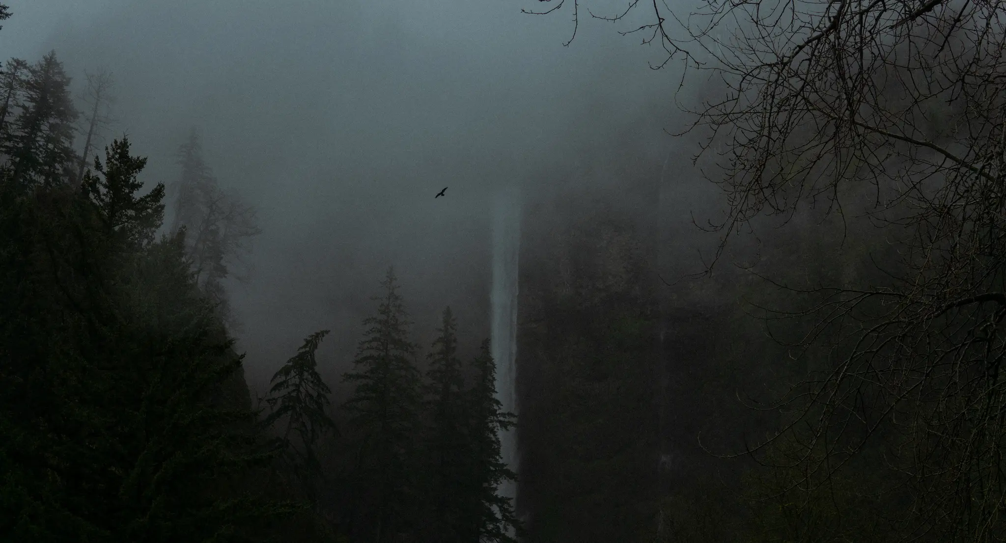 The Falls in Fog