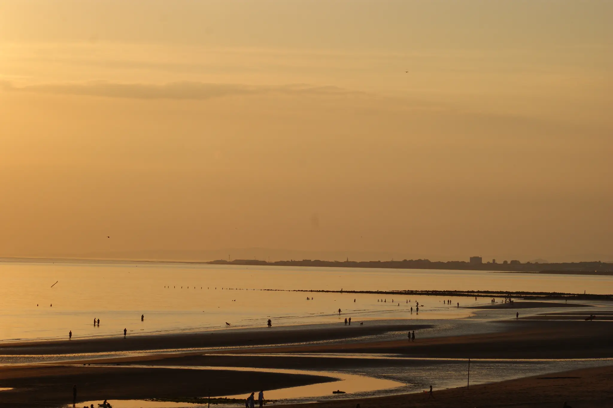 Ayrshire Haze