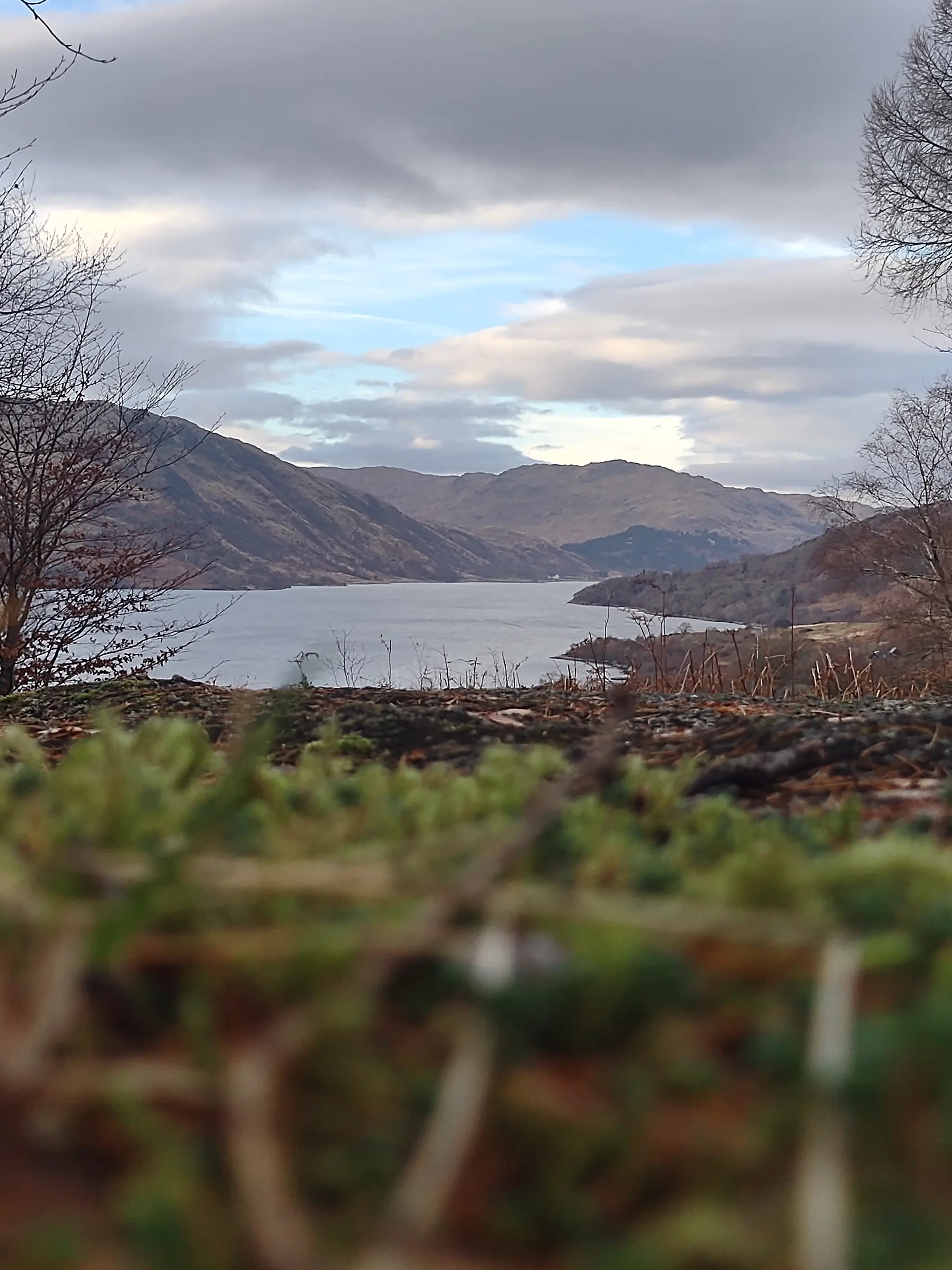 Loch Sunart