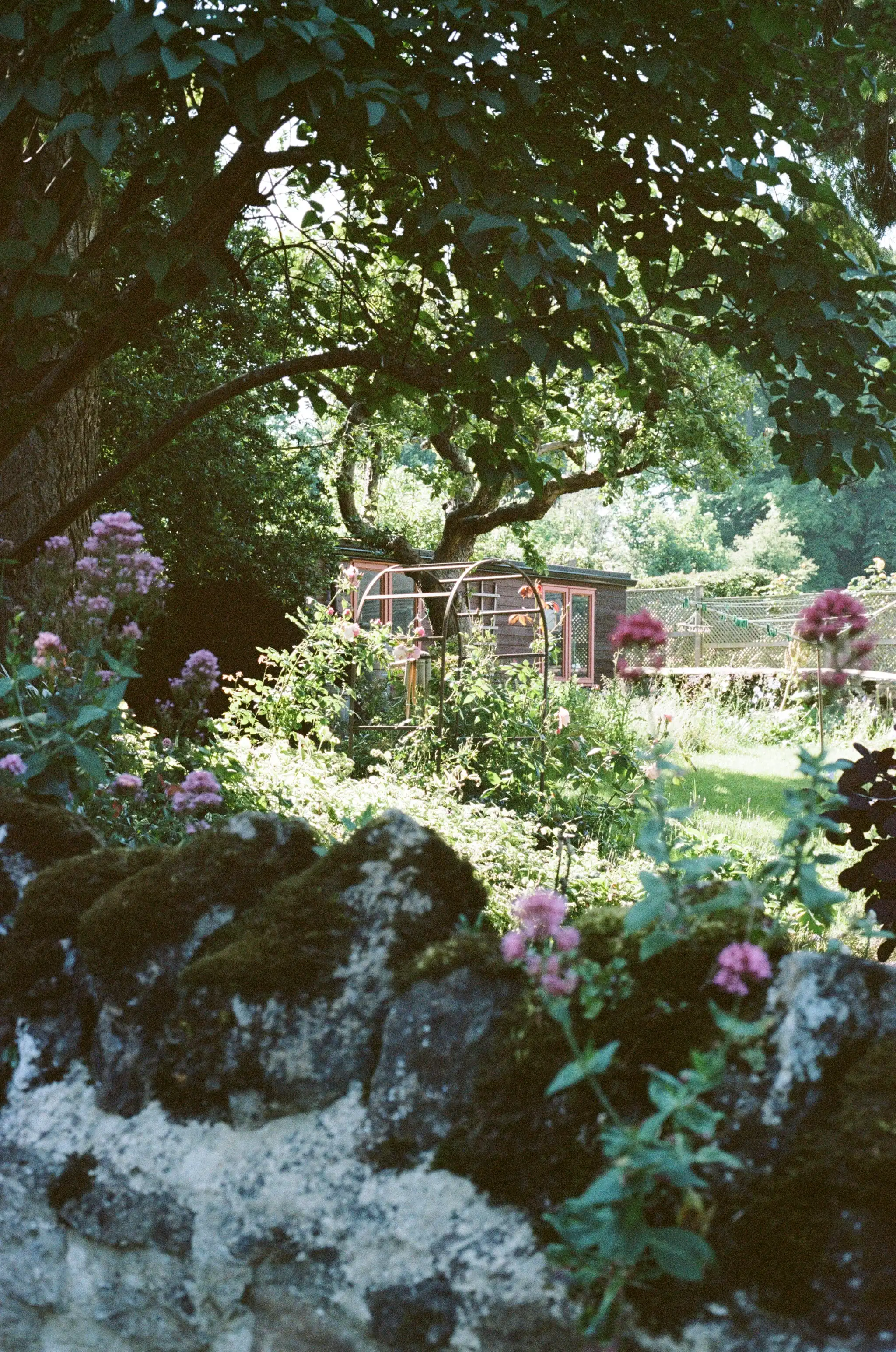 Iffley Idyll