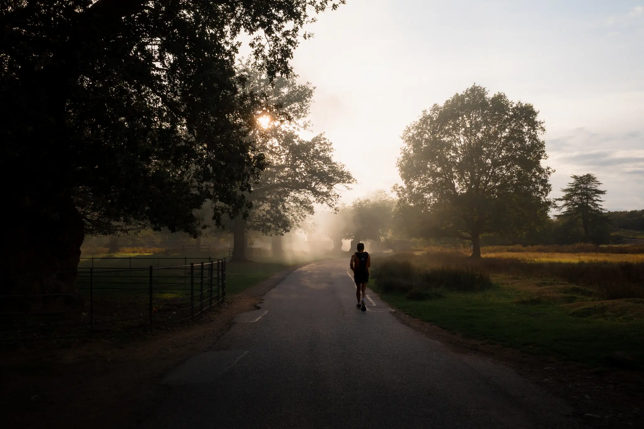 A Light Jog