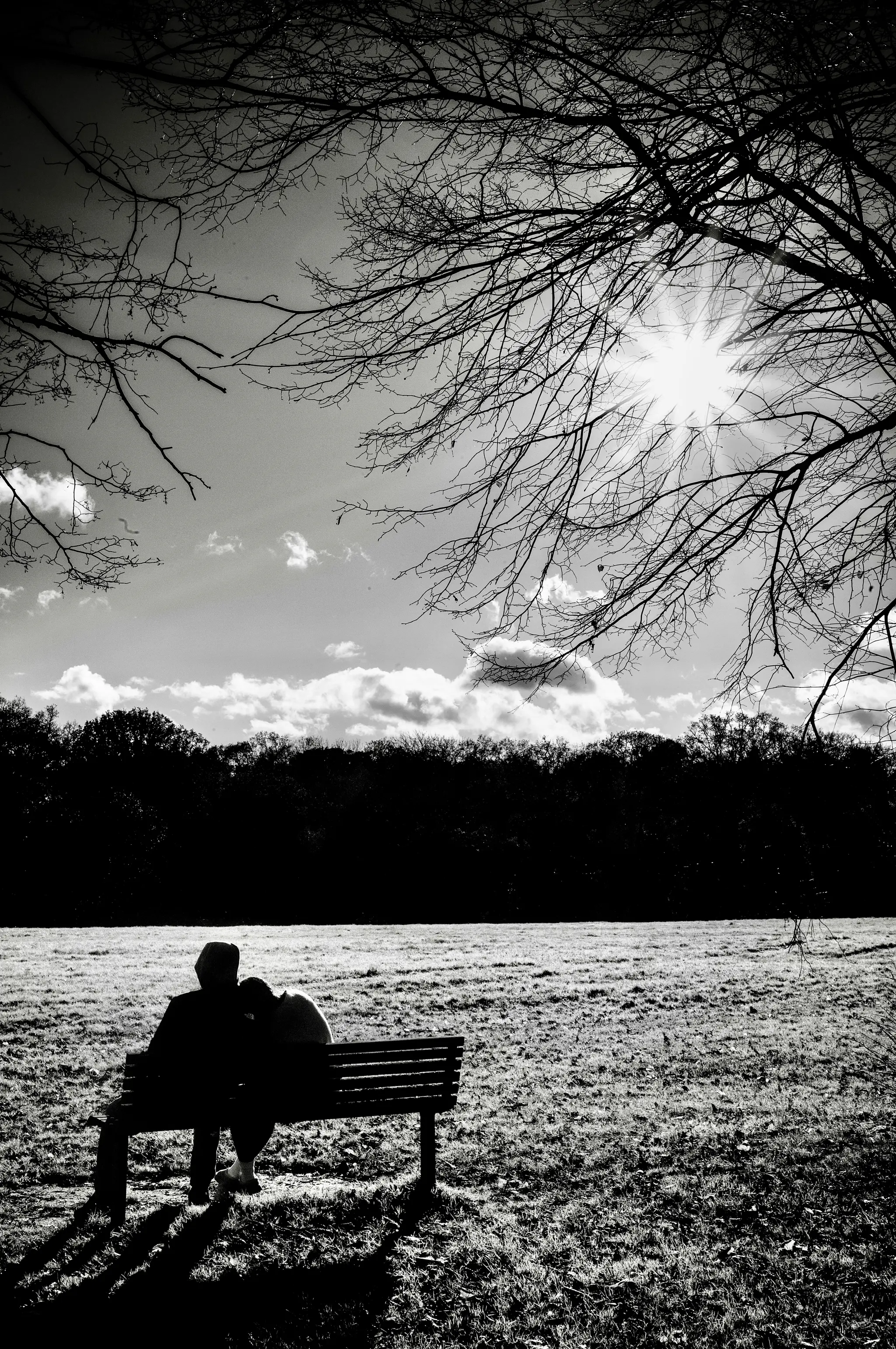 Winter Sun