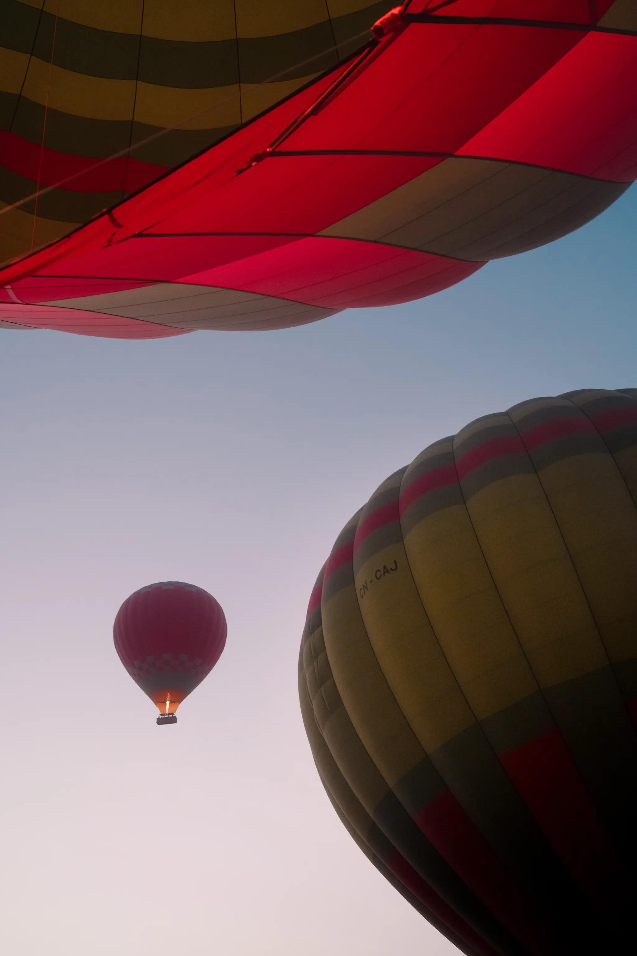 Sunrise framed by balloons 