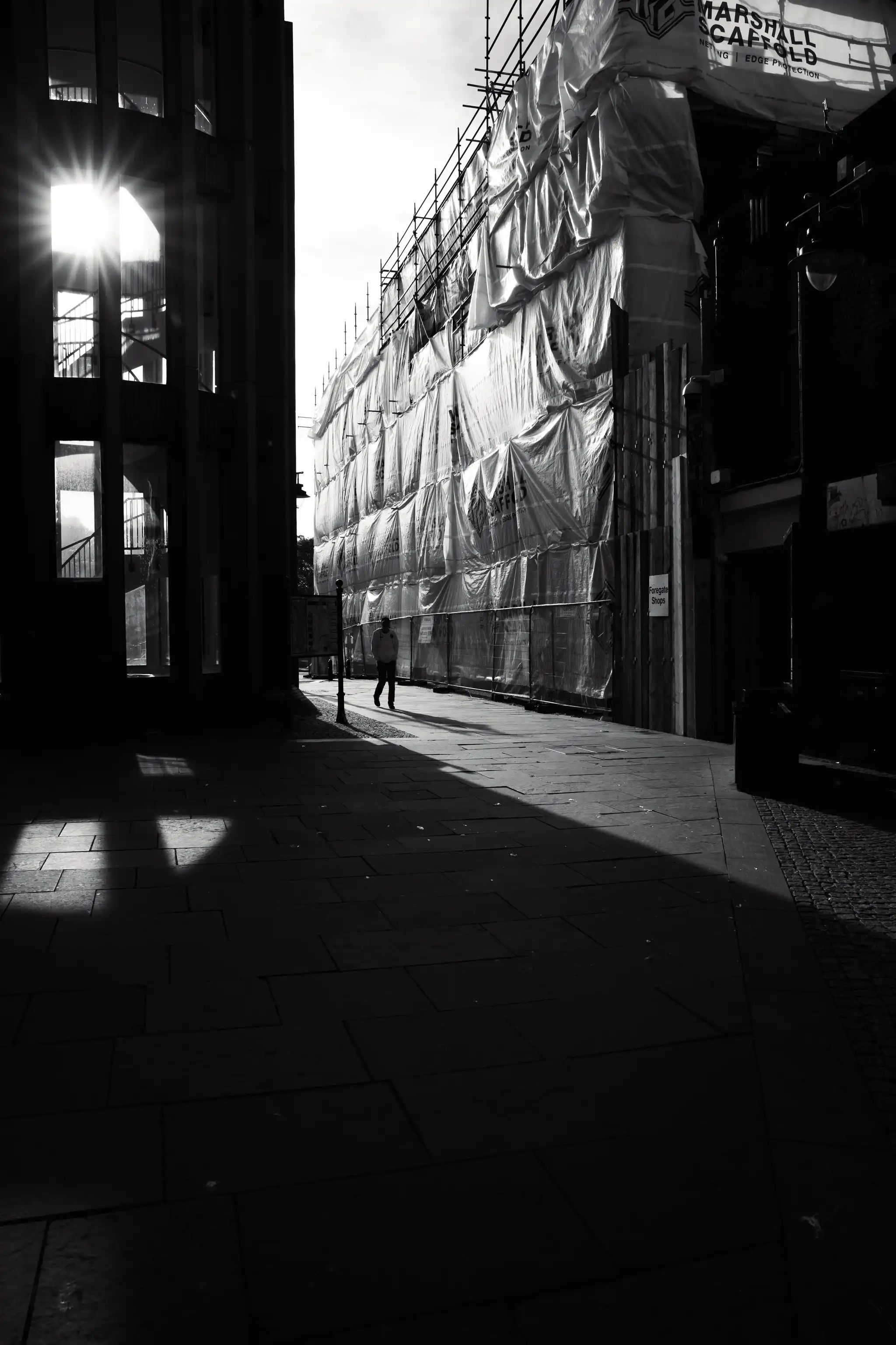 Morning, Sunshine