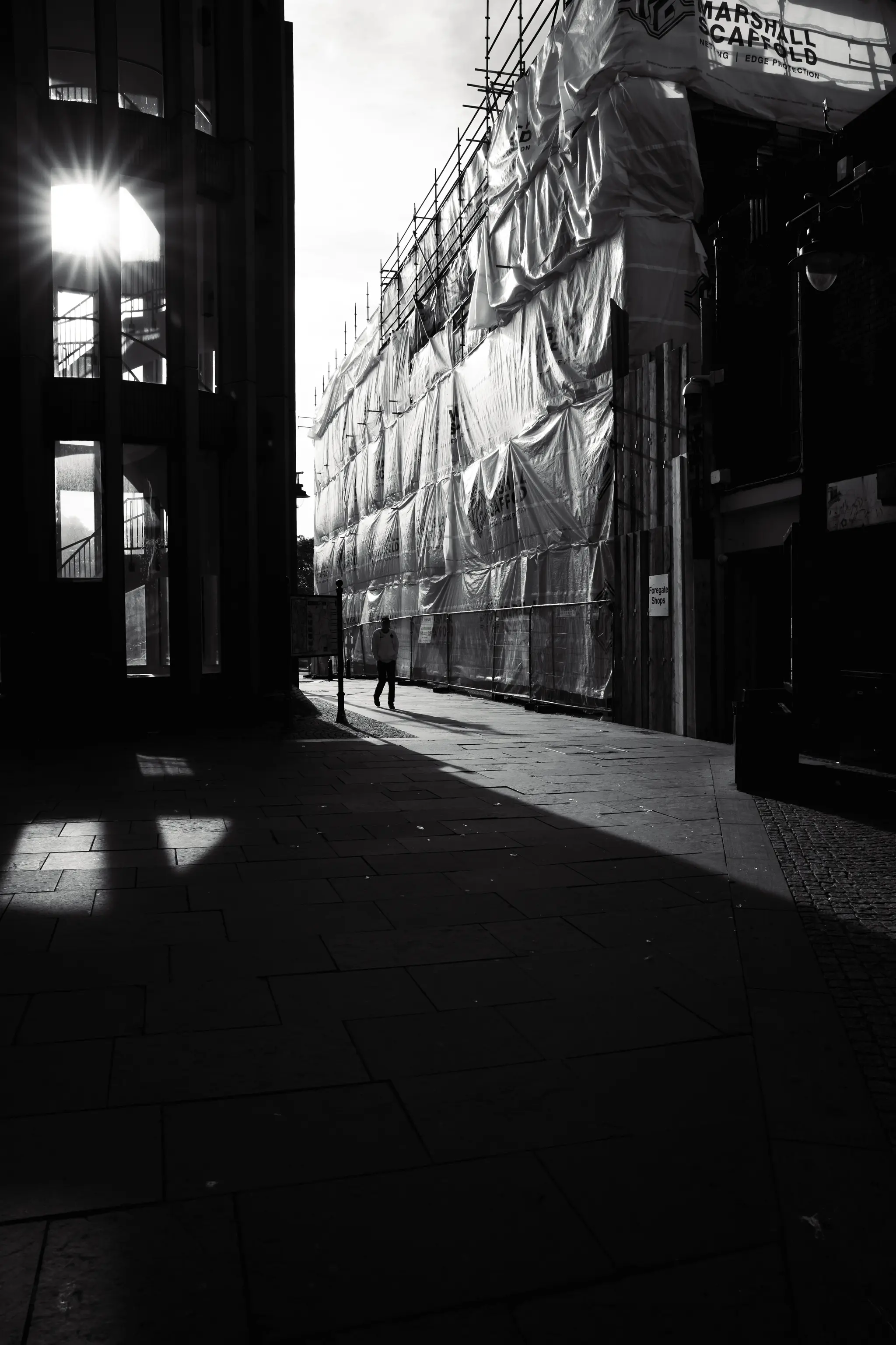 Morning, Sunshine