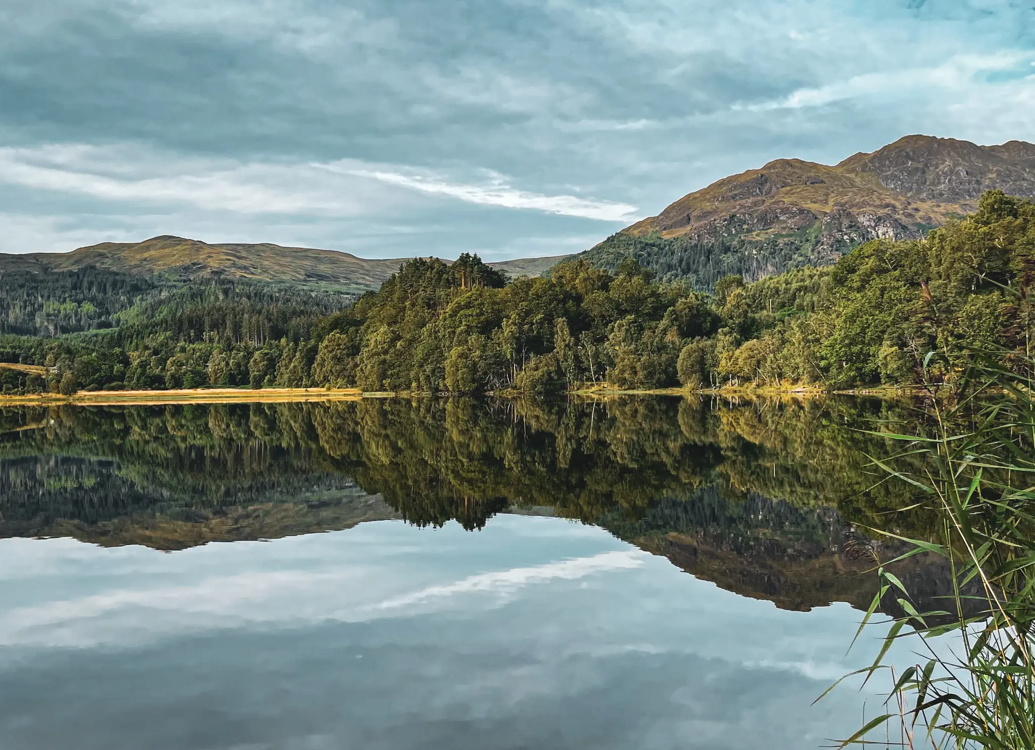 Reflections 