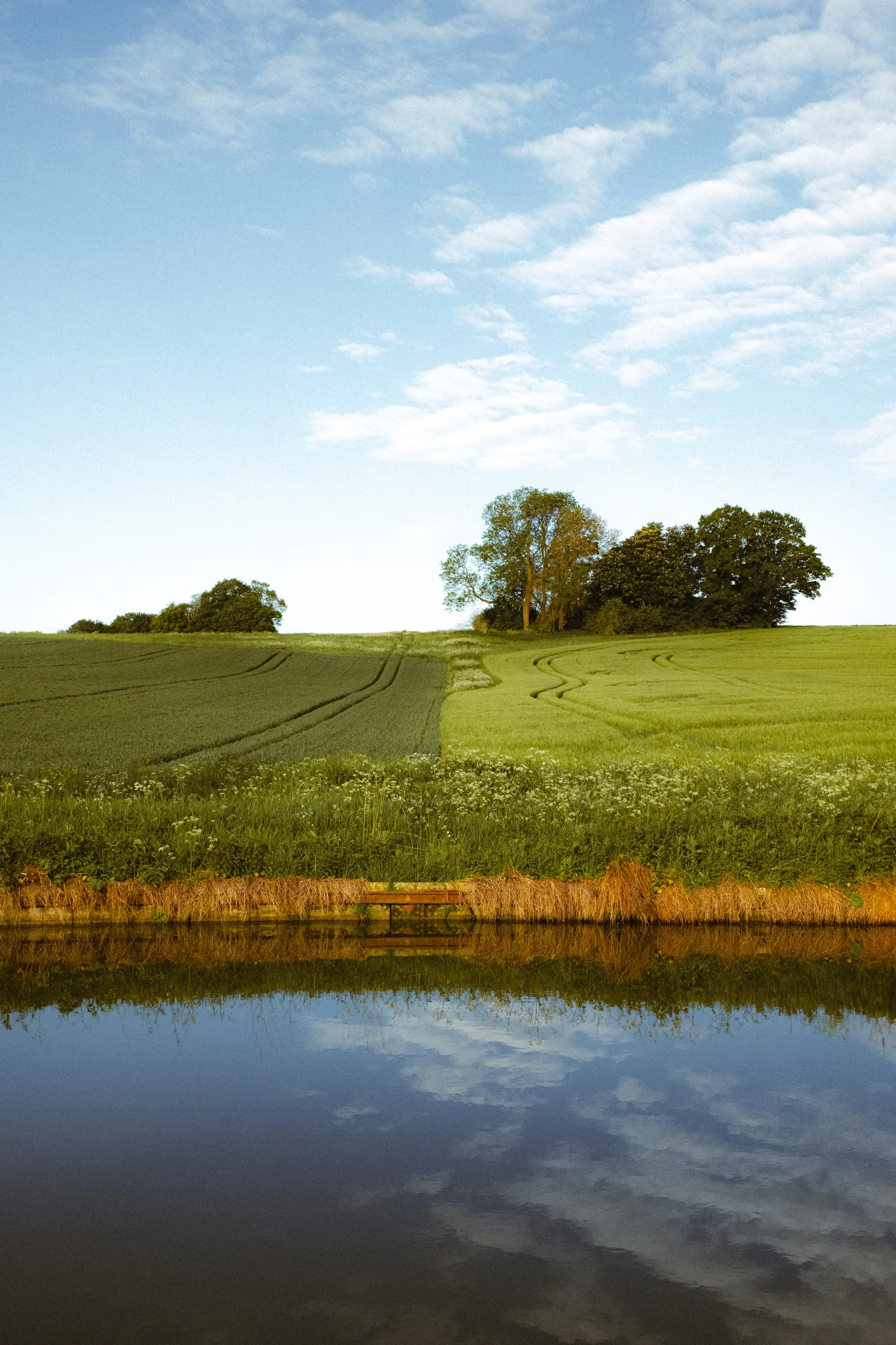 The dividing line