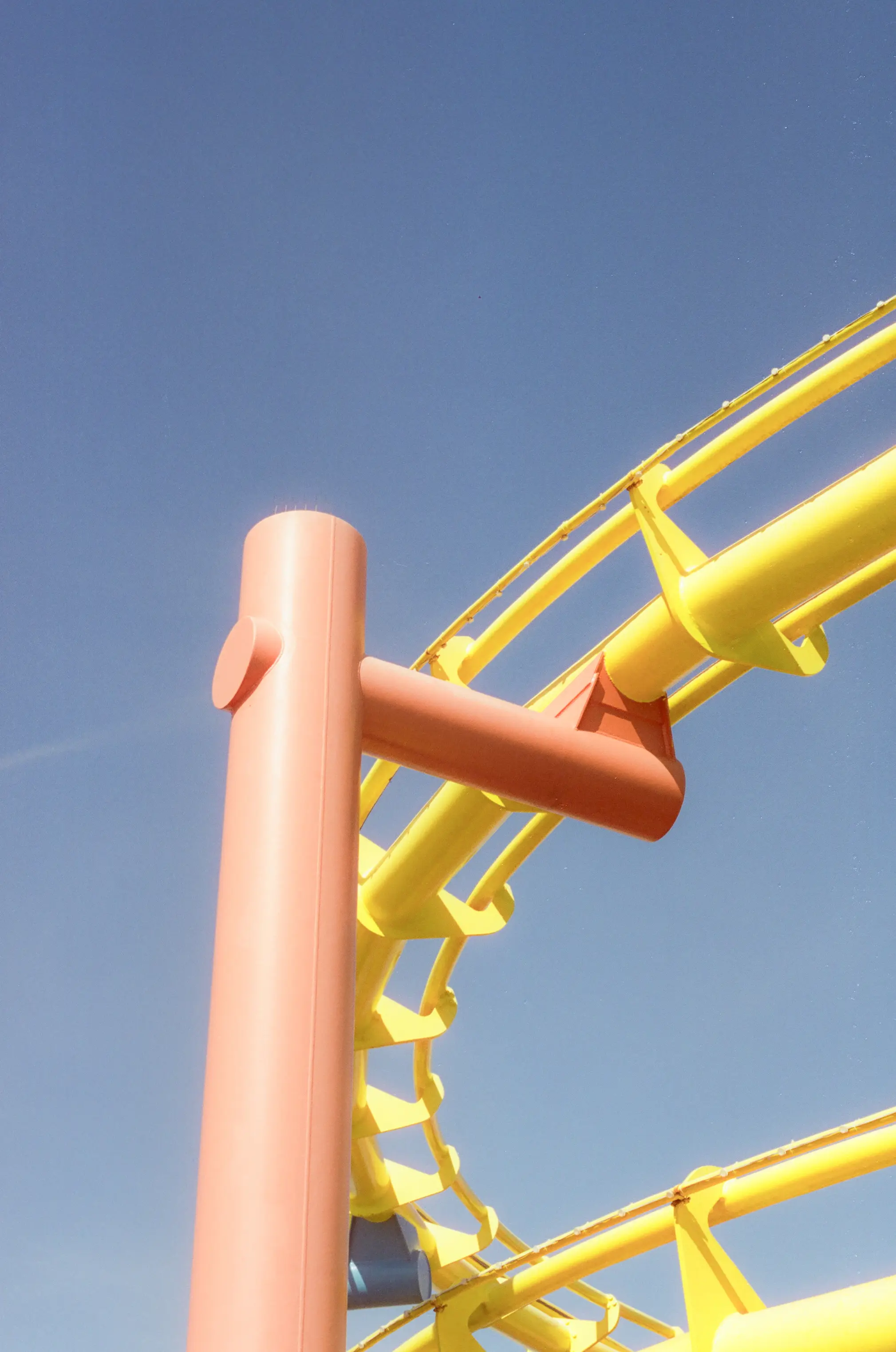 Rollercoaster of Love