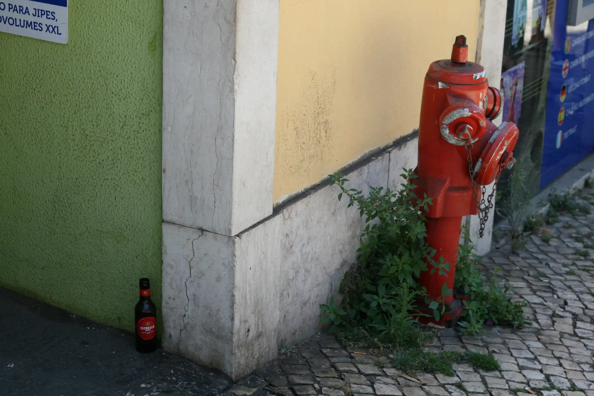 Beer Bottle