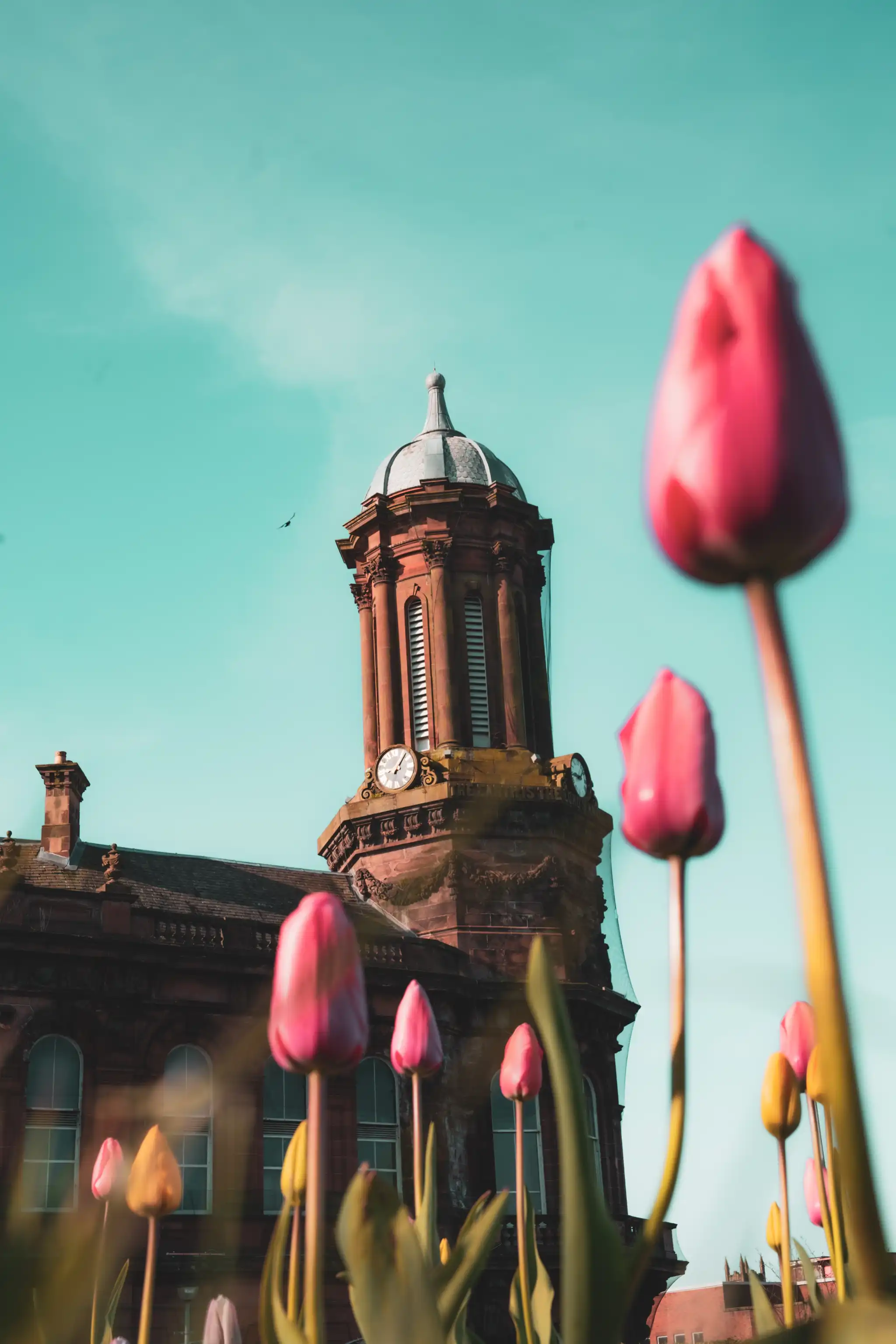 Palace Theatre Tulips, Kilmarnock
