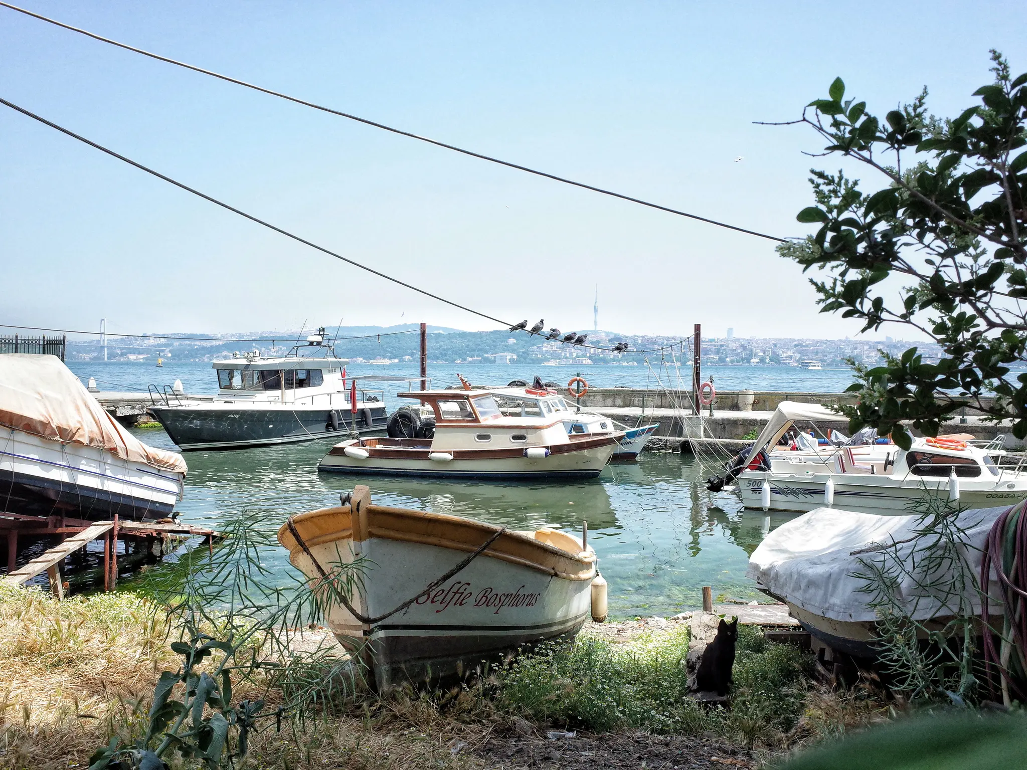 My Istanbul