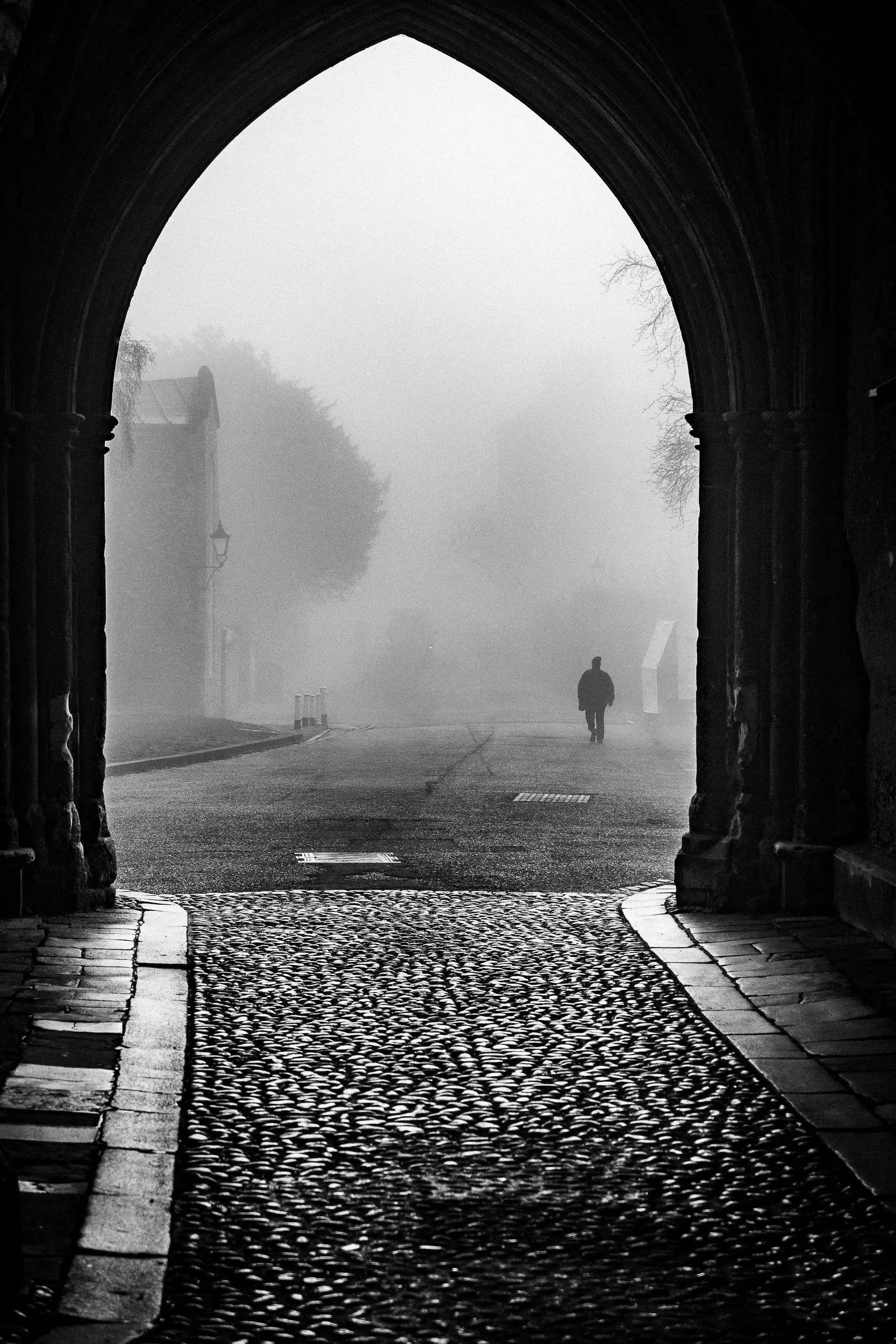 The Fog